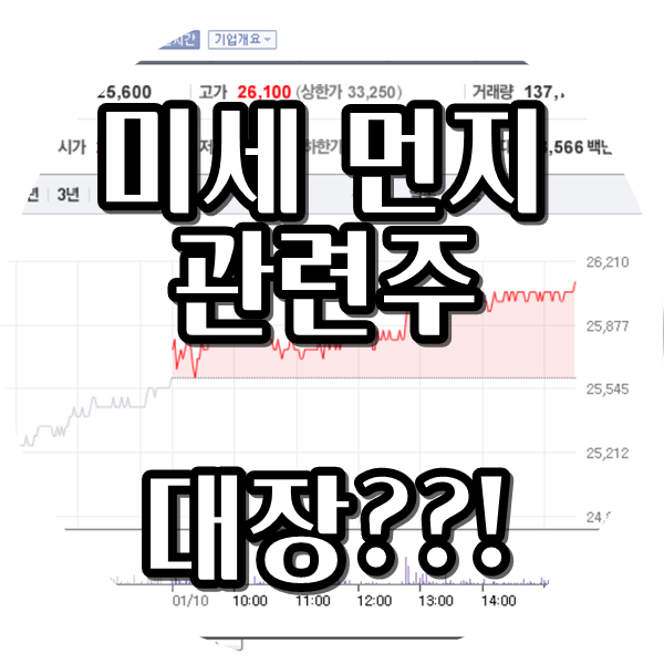  미세먼지 관련주 대장으로 1000%수익!