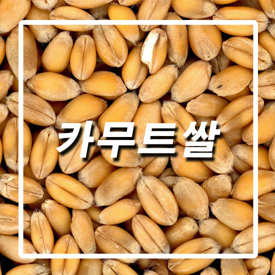  카무트