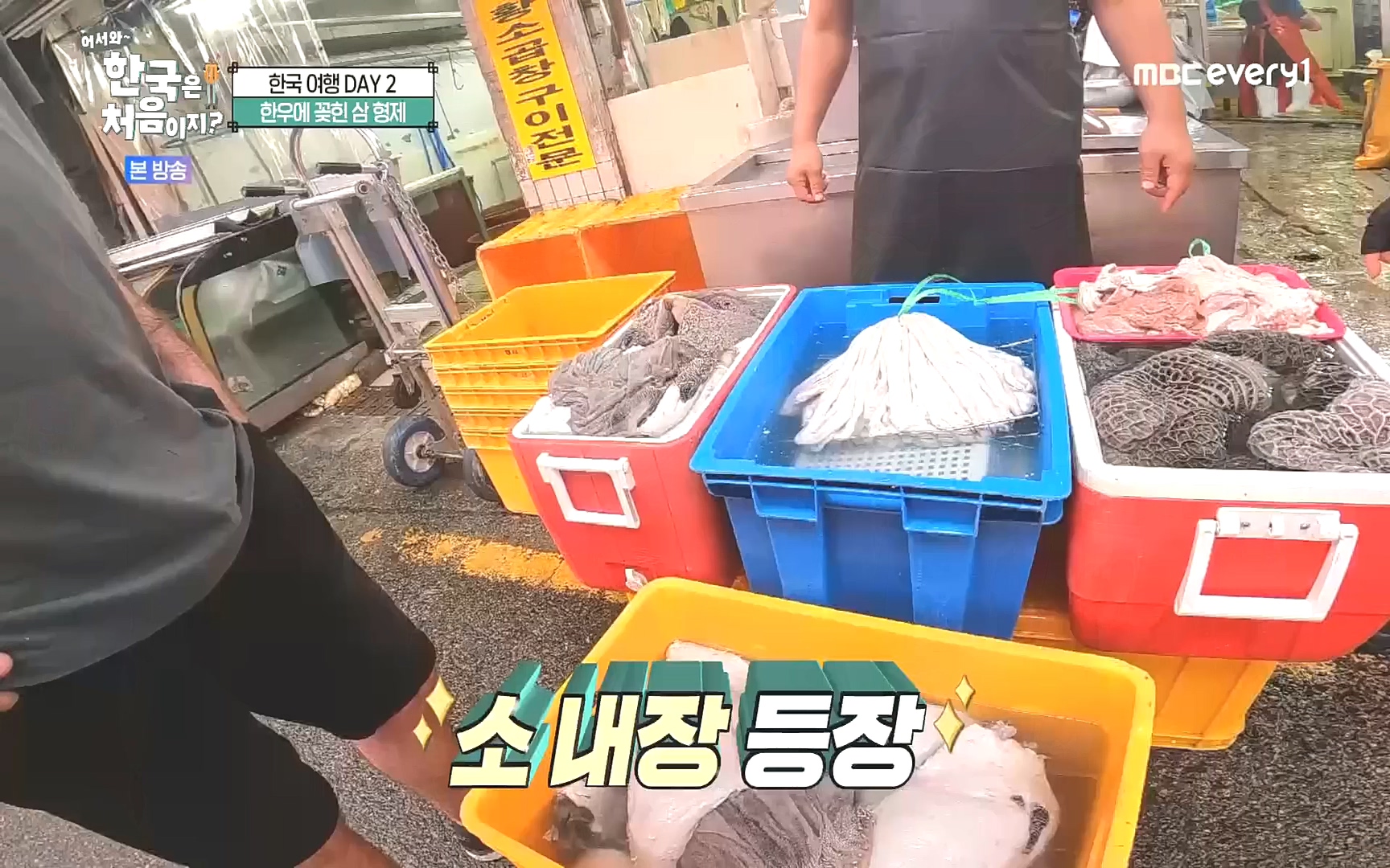 어서와~ 한국은 처음이지.E265.221013p.H264-F1RST.mp4_20221014_200523.927.jpg