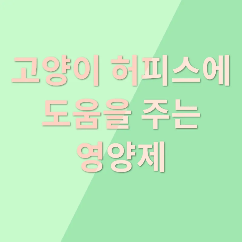 고양이 영양제 엘라이신_1