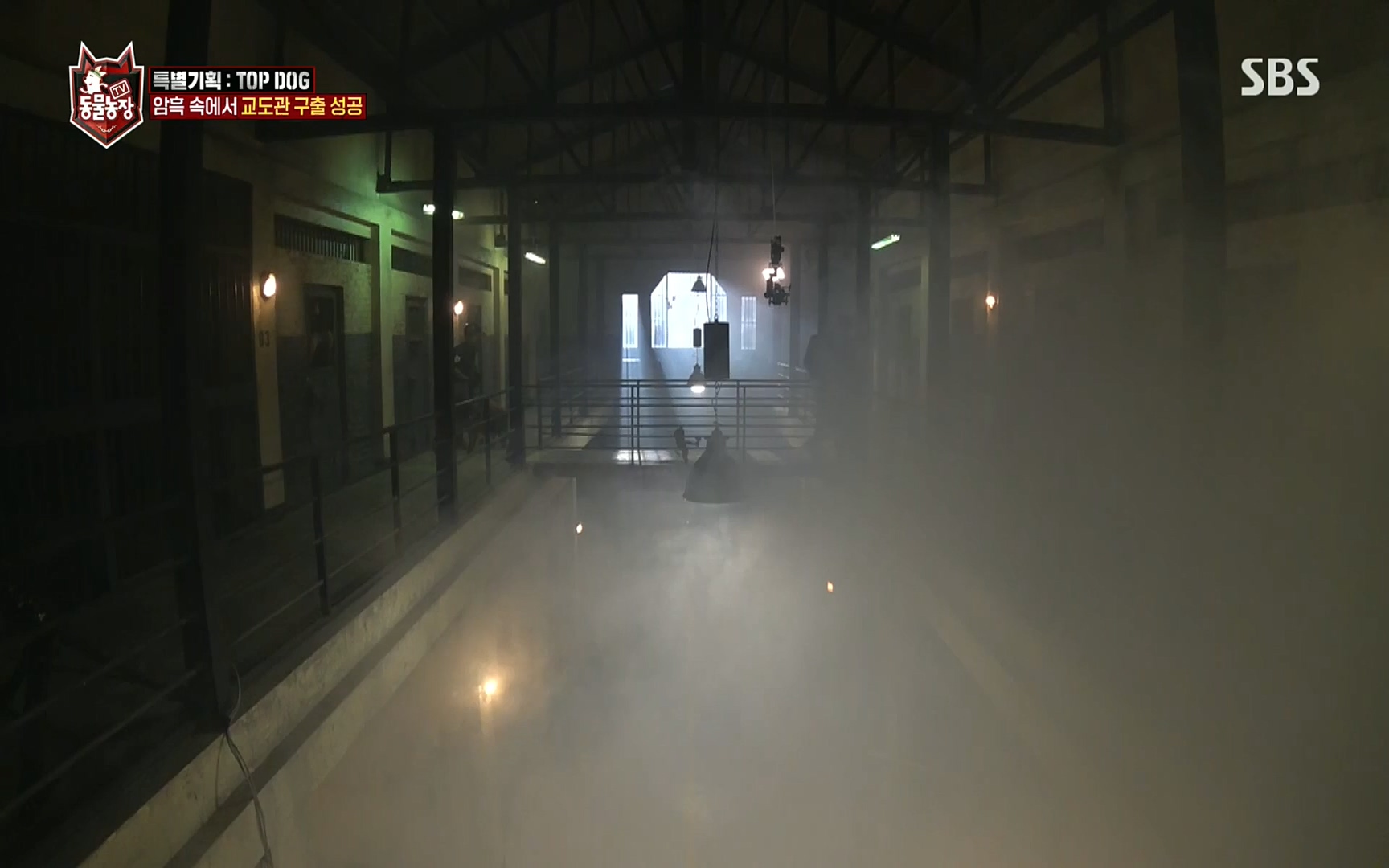 TV 동물농장.E1086.220911p.H264-F1RST.mp4_20220911_175418.764.jpg