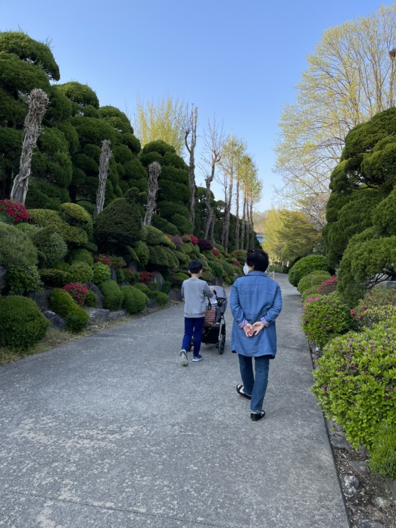 세종 가볼만한곳세종 가볼만한곳베어트리파크 21