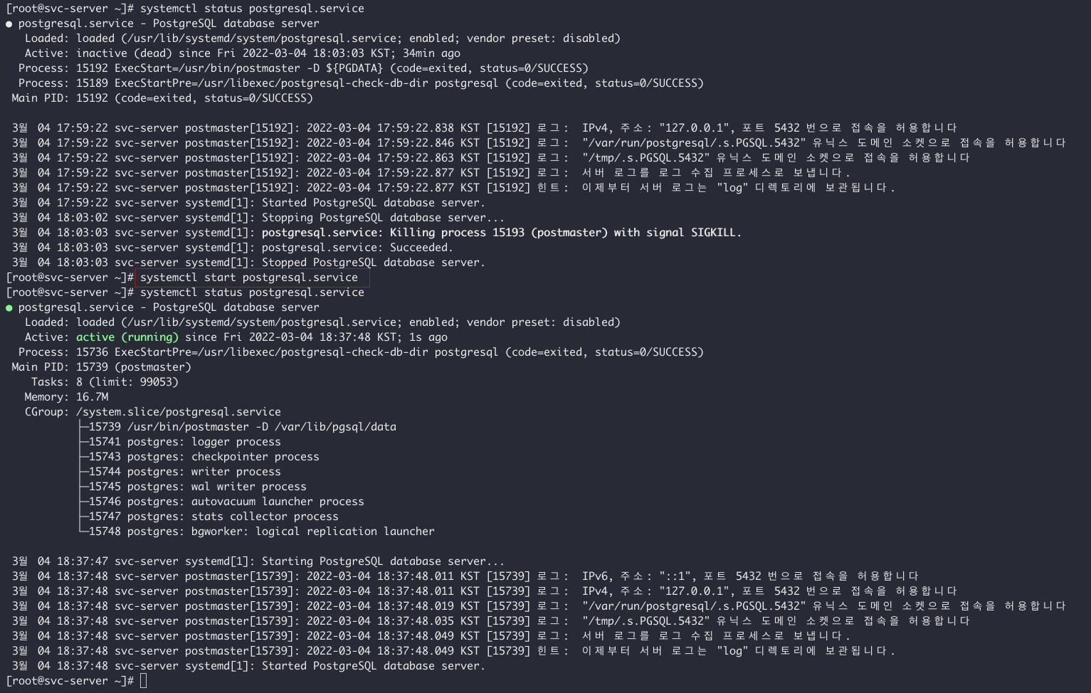 5. PostgreSQL 구동