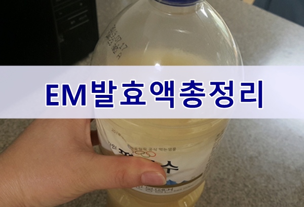  EM발효액 효능과 만드는방법