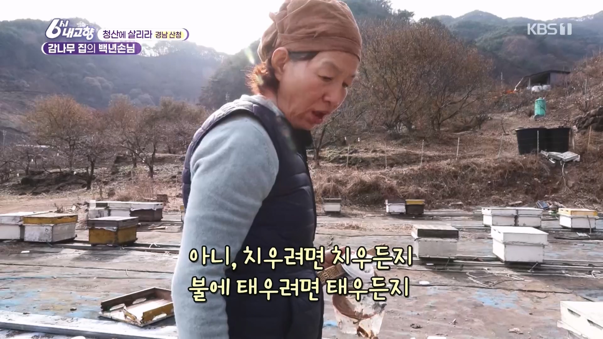 6시 내고향.E7929.231207p.H264-F1RST.mp4_20231208_200358.794.jpg