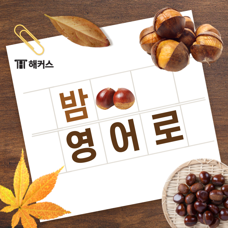  밤, 영어로 어떻게 표현할까?
