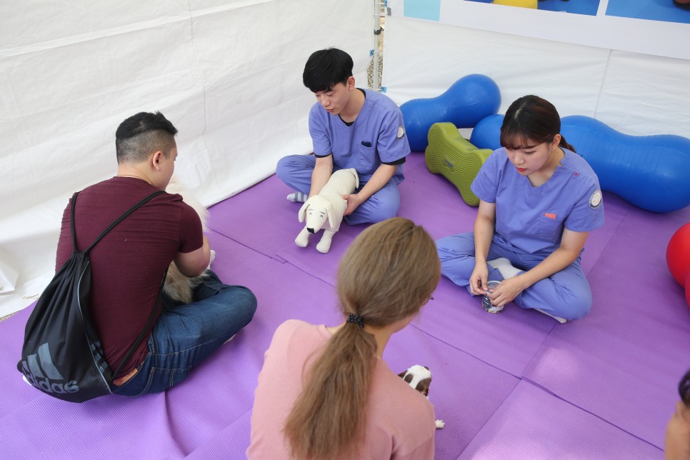 학과 정보를 알아보자! 동물보건복지학과 전망 및 6