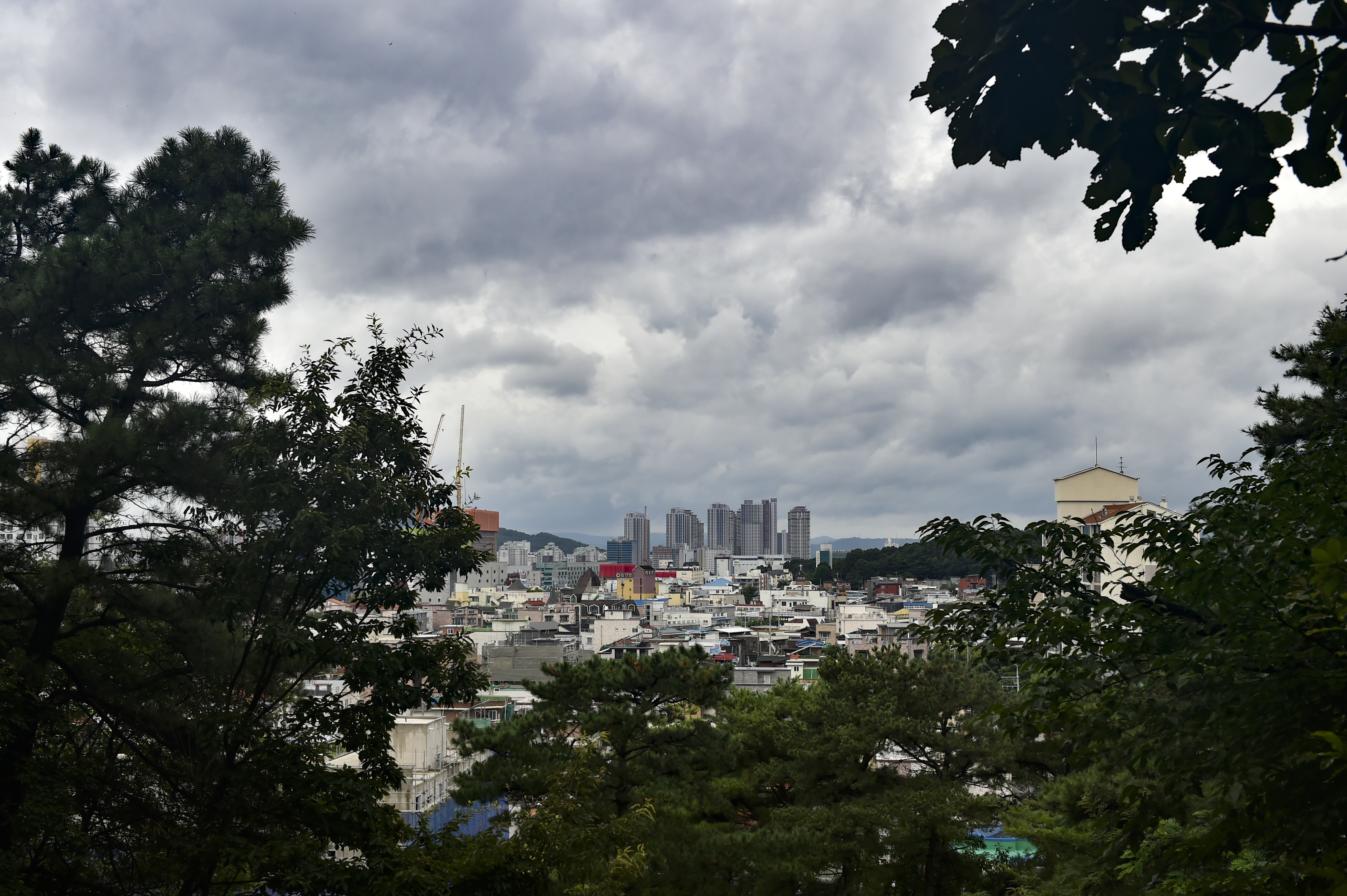 자연환경(주) 이미지
