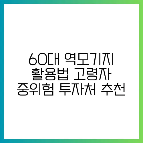 60대 역모기지 활용법 고령자 중위험 투자처 추천