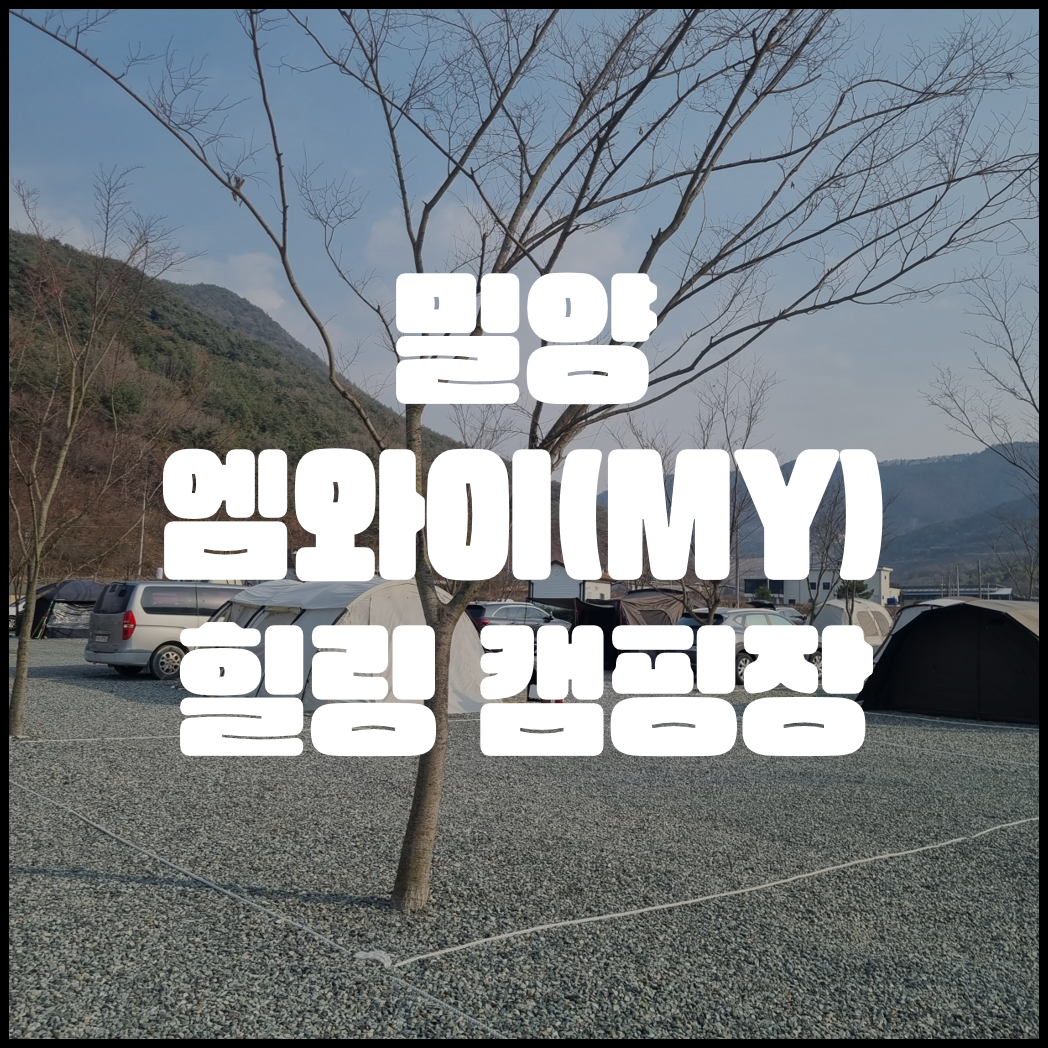 엠와이(MY) 이미지