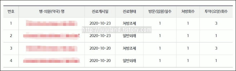 국민건강보험-진료-및-투약정보-결과-화면