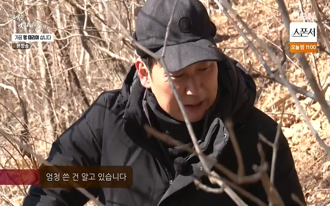 나는 자연인이다.E493.220317p-NEXT.mp4_20220317_172909.156.jpg