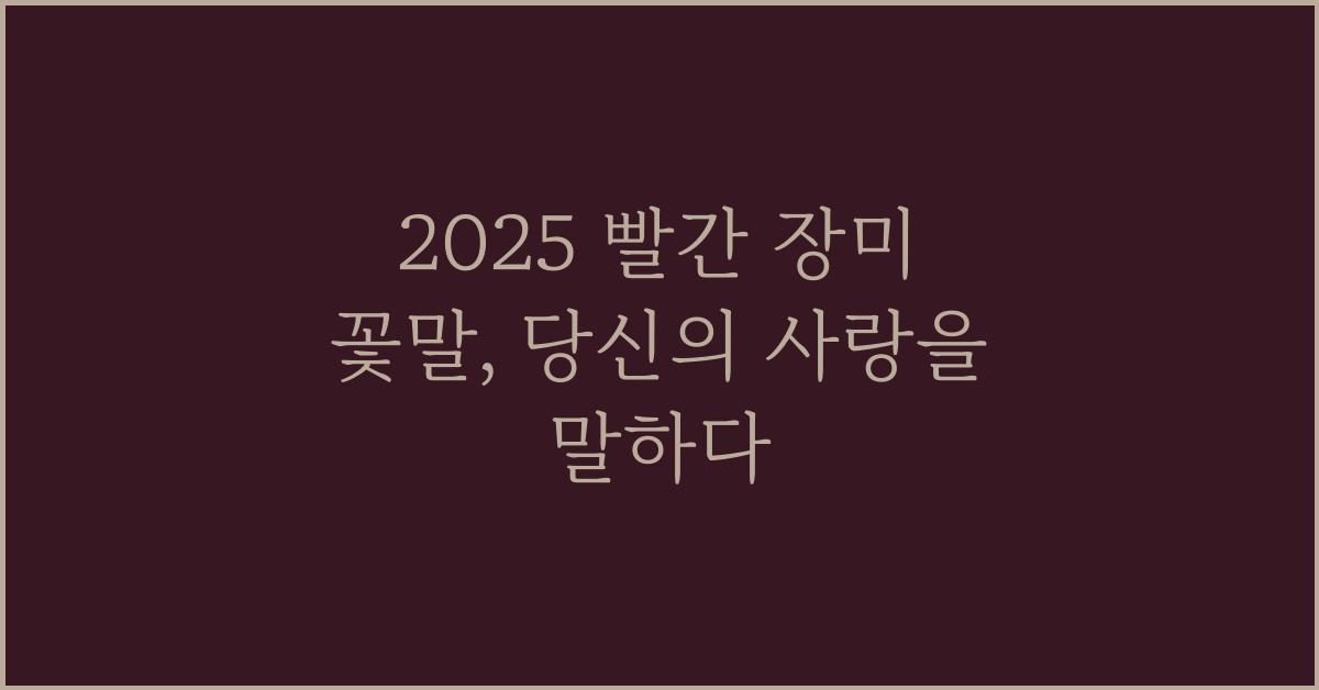 2025 빨간 장미 꽃말