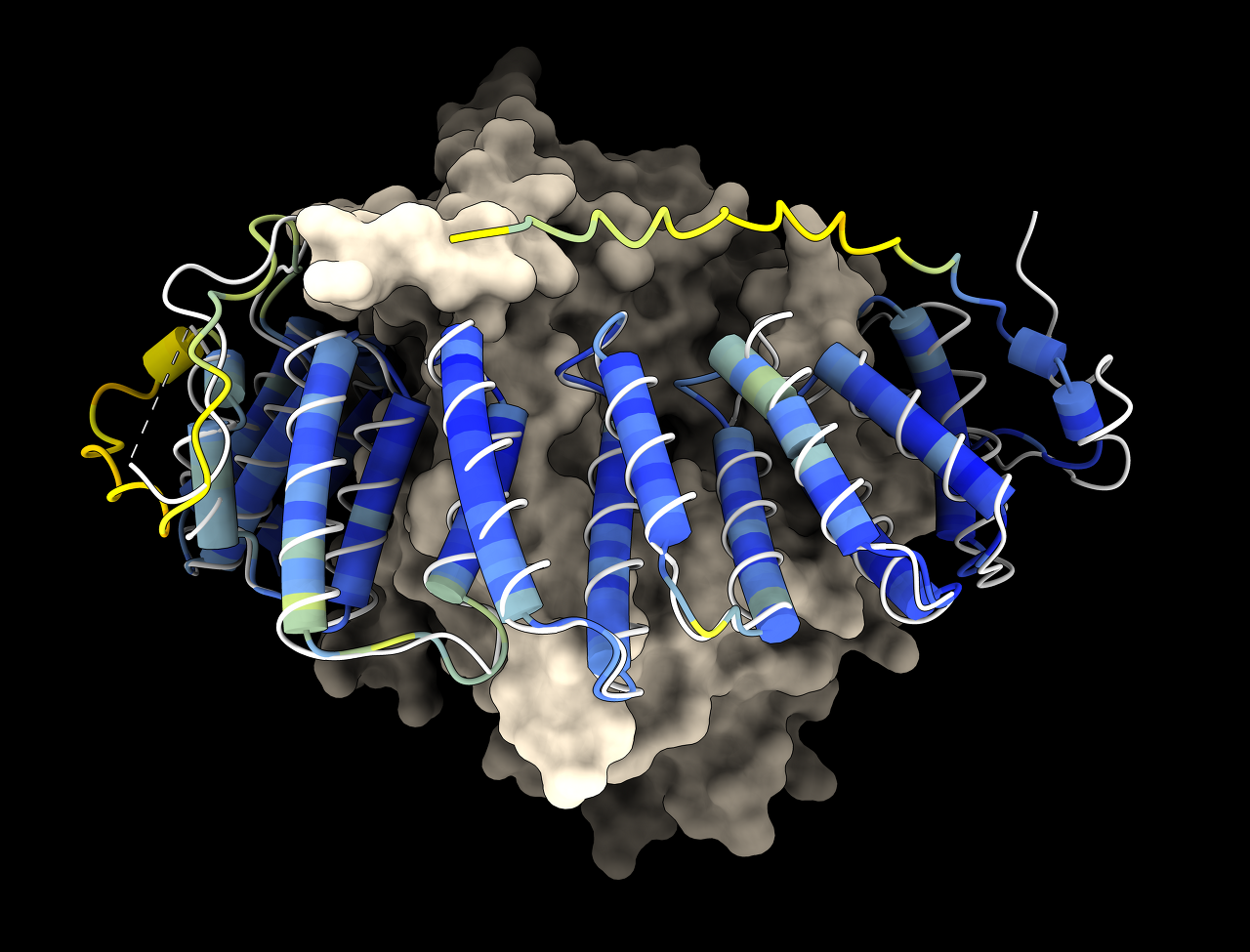 ESMFold가 예상한 단백질 구조
