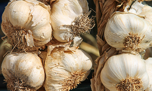 관상동맥질환에 좋은 음식 10가지