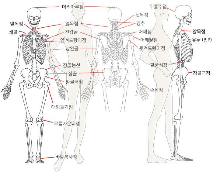 인체계측 기준점