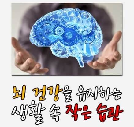 뇌건강과 식단