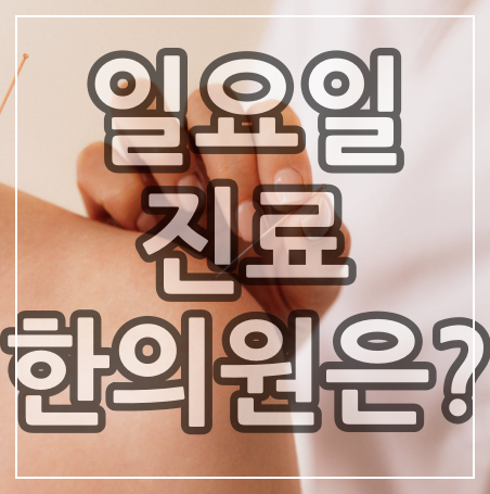  서울시 동대문구 일요일 진료 한의원과 일요일 한의원 진료시간.