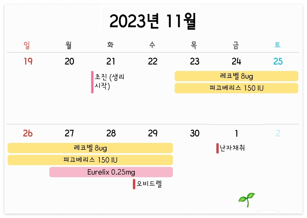 서울역차 난자채취 일정