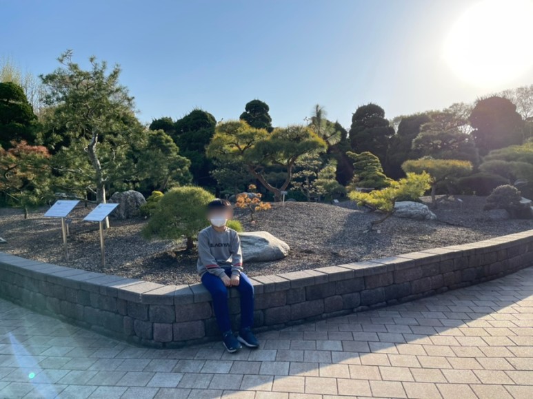 세종 가볼만한곳세종 가볼만한곳베어트리파크 19