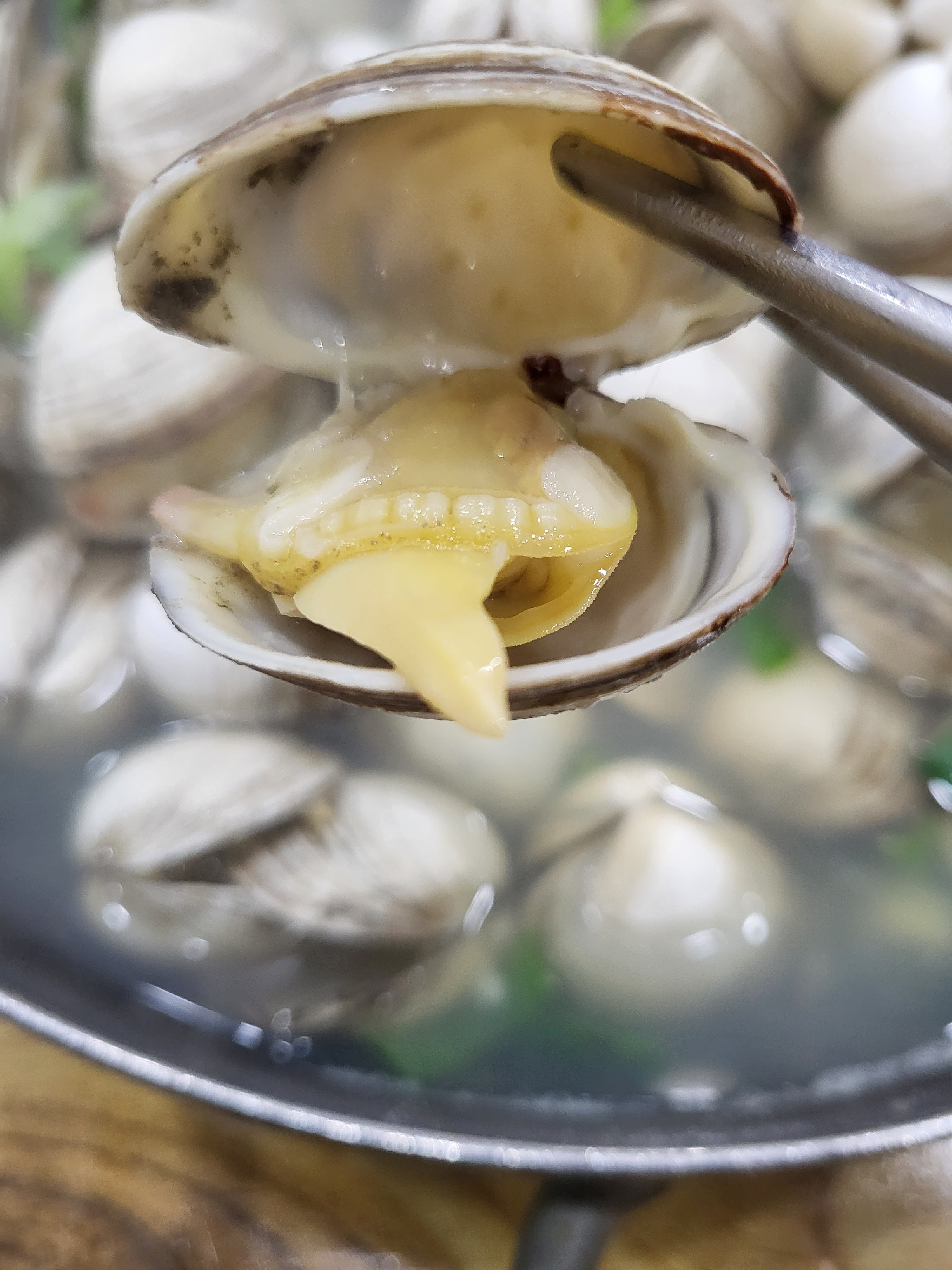  오씨칼국수의 조개파티!