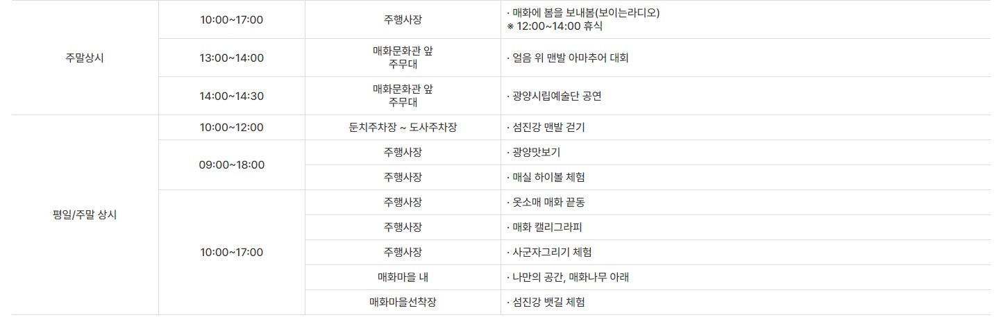 광양 매화 축제 기본정보 입장료 프로그램 주차장 총정리