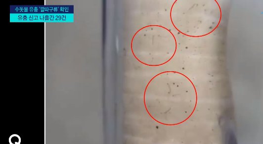  제주 수돗물 유충 깔따구류 관련주식