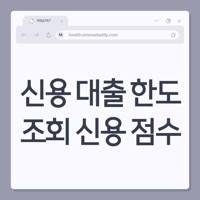 신용 대출 한도 조회 신용 점수 01