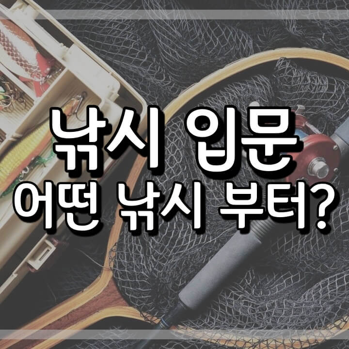  낚시 입문 접근성 비교 (초기비용)