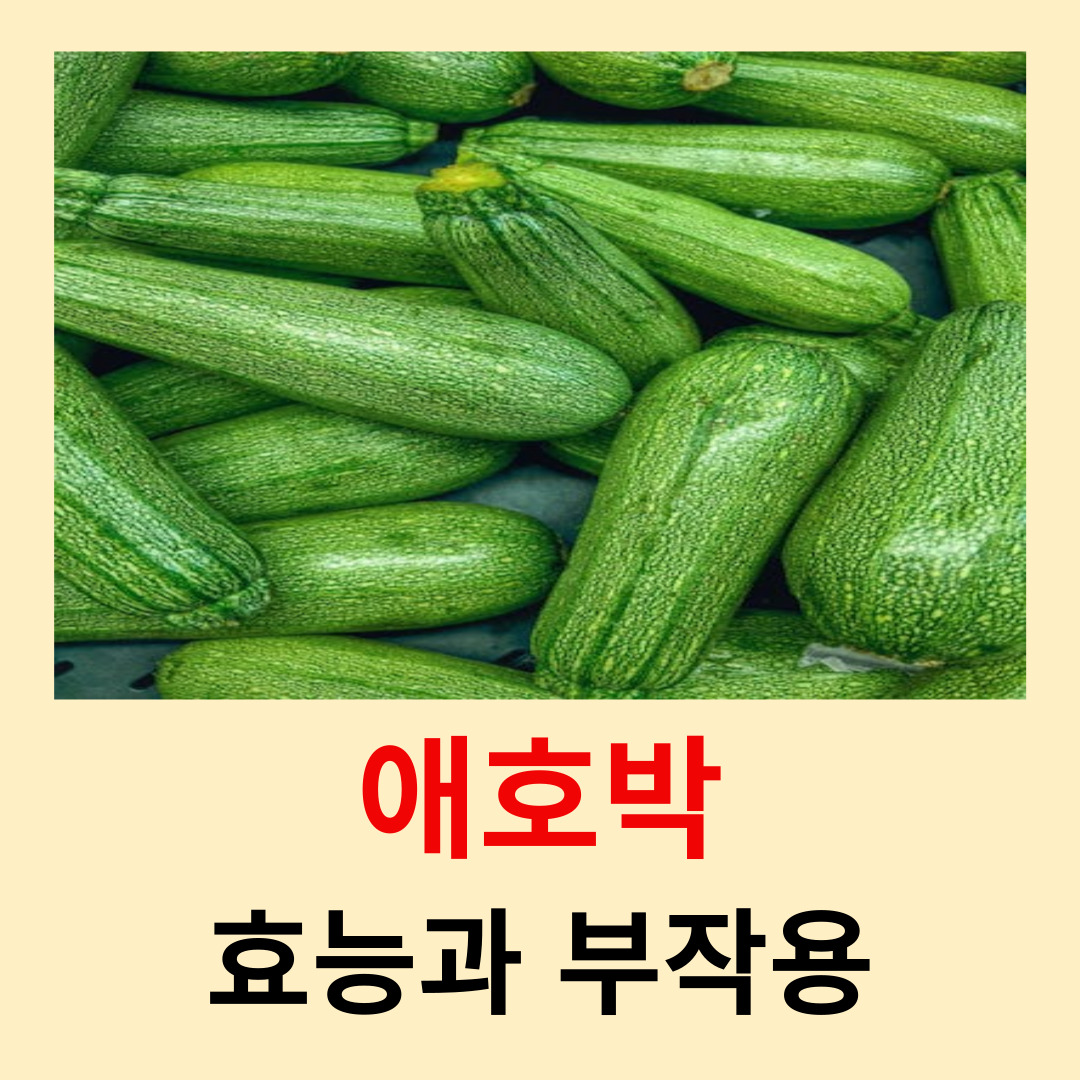 애호박-효능과-부작용