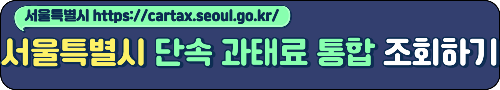 서울특별시 단속&nbsp;과태료 통합&nbsp;조회하기