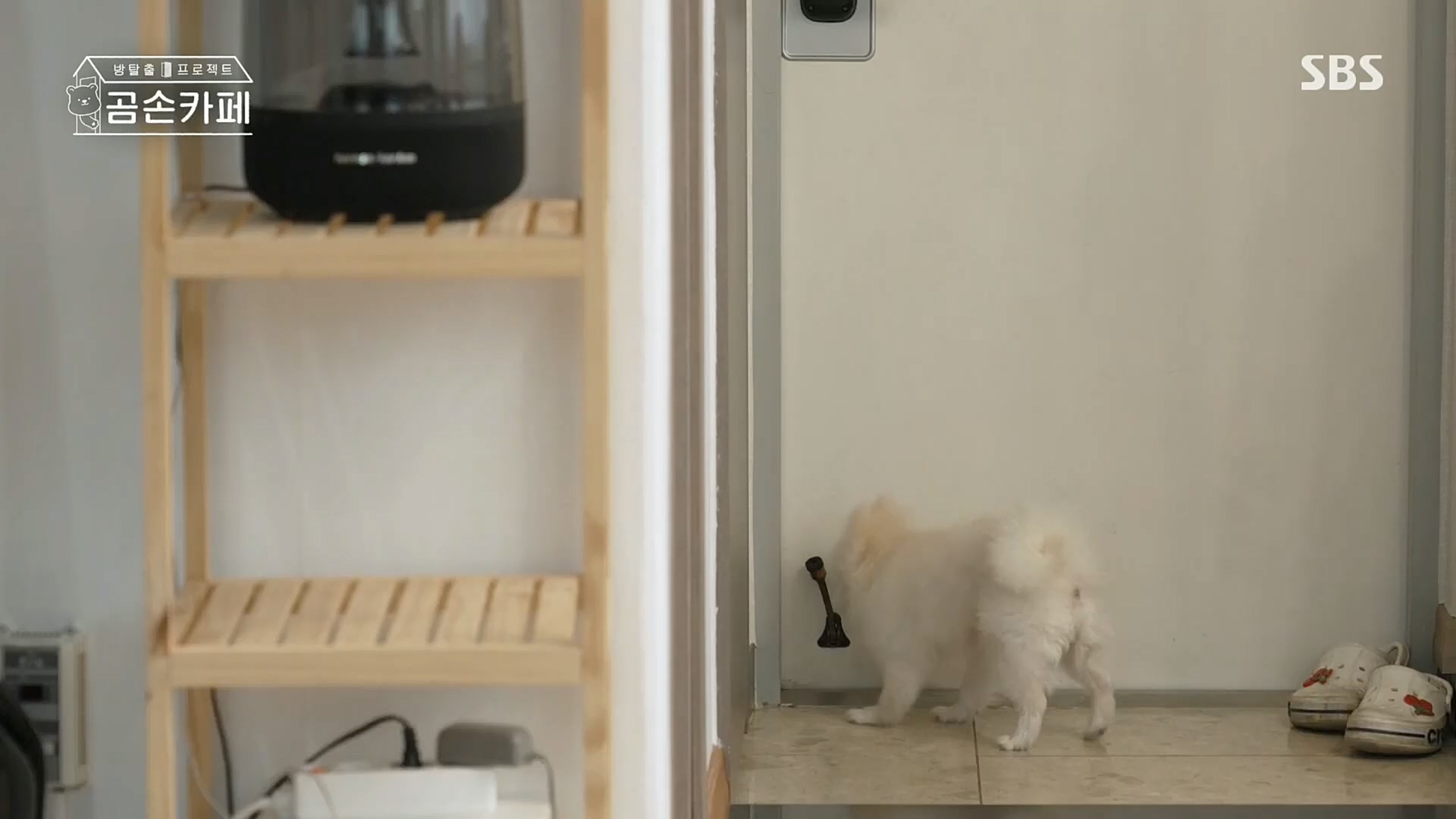 SBS 스페셜.E646.221023p.H264-F1RST.mp4_20221024_200642.172.jpg