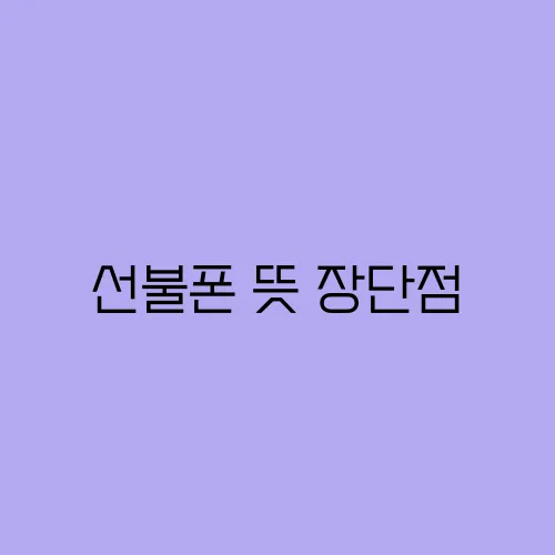 선불폰 뜻 장단점