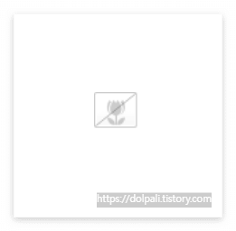 한글에서 이미지가 안나올 때, 보고 싶지 않은 아이콘