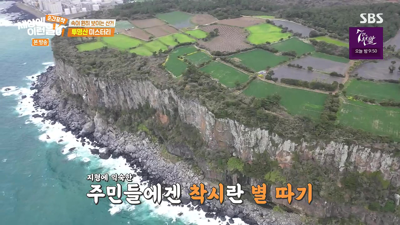 순간포착 세상에 이런일이.E1272.240407p-NEXT.mp4_20240407_173952.246.jpg