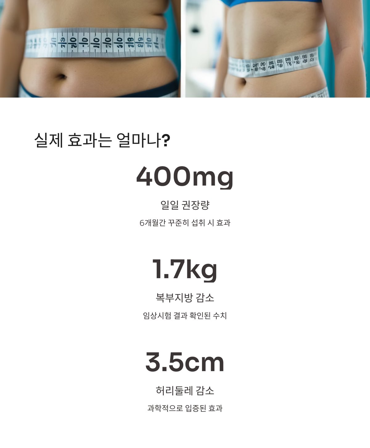 에이치엘유통 이미지