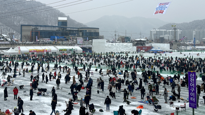 화천산천어축제 동물학대 논란