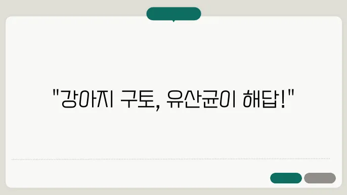토할 때 강아지를 위한 신의 한수