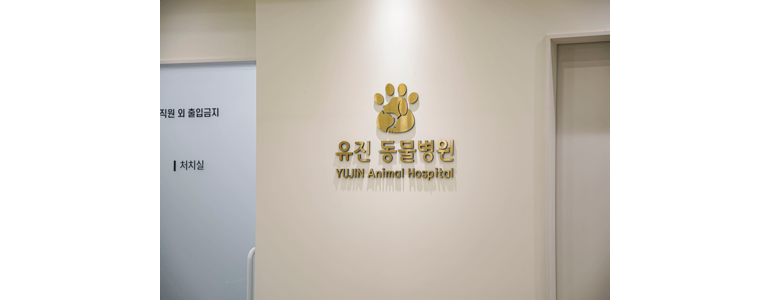 세종시 동물병원