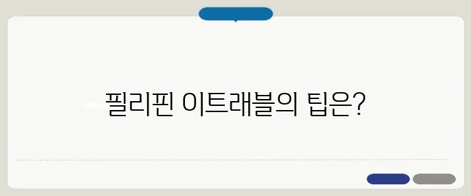 필리핀 이트래블 작성 가이드