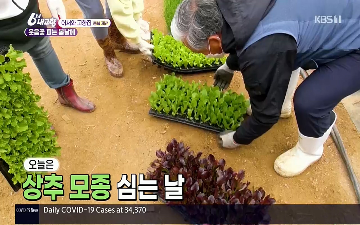6시 내고향.E7518.220426p.H264-F1RST.mp4_20220504_191030.801.jpg