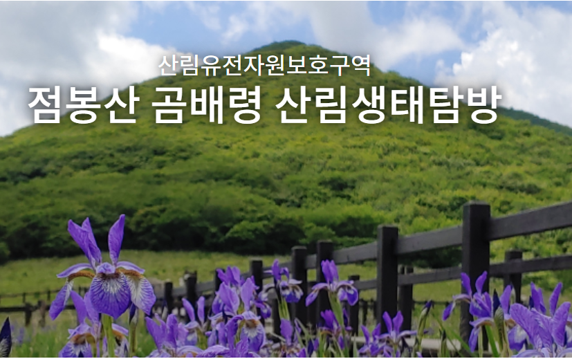 곰배령 예약 