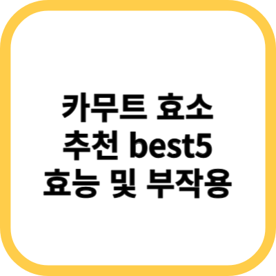  카무트효소(카뮤트) 추천! 효과적인 소화 보조제를 선택하세요!