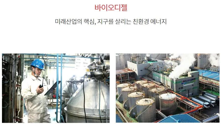 디에스단석 공모주