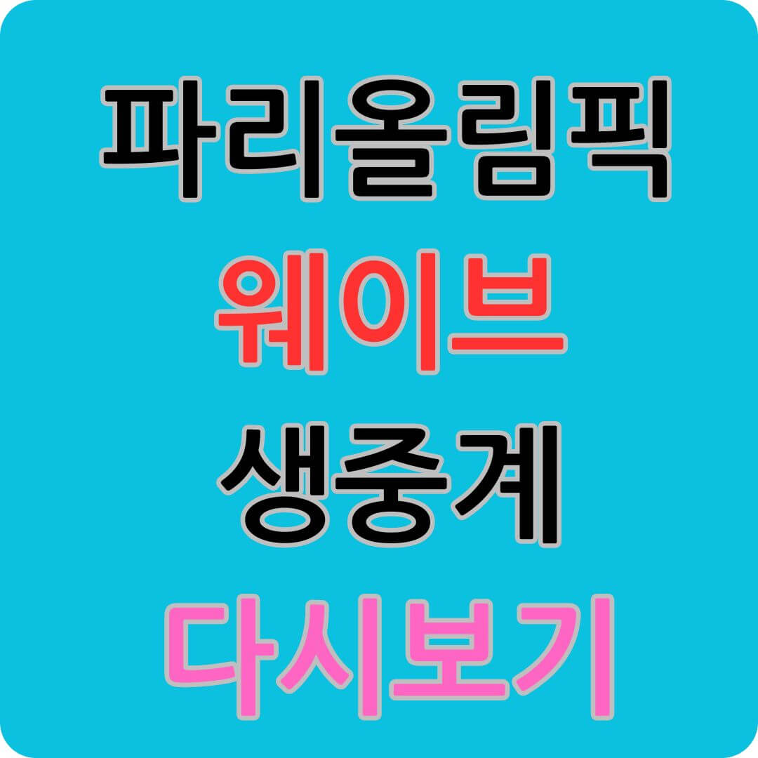 파리올림픽 웨이브 생중계
다시보기