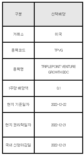 미국주식 선택배당 안내 TPVG