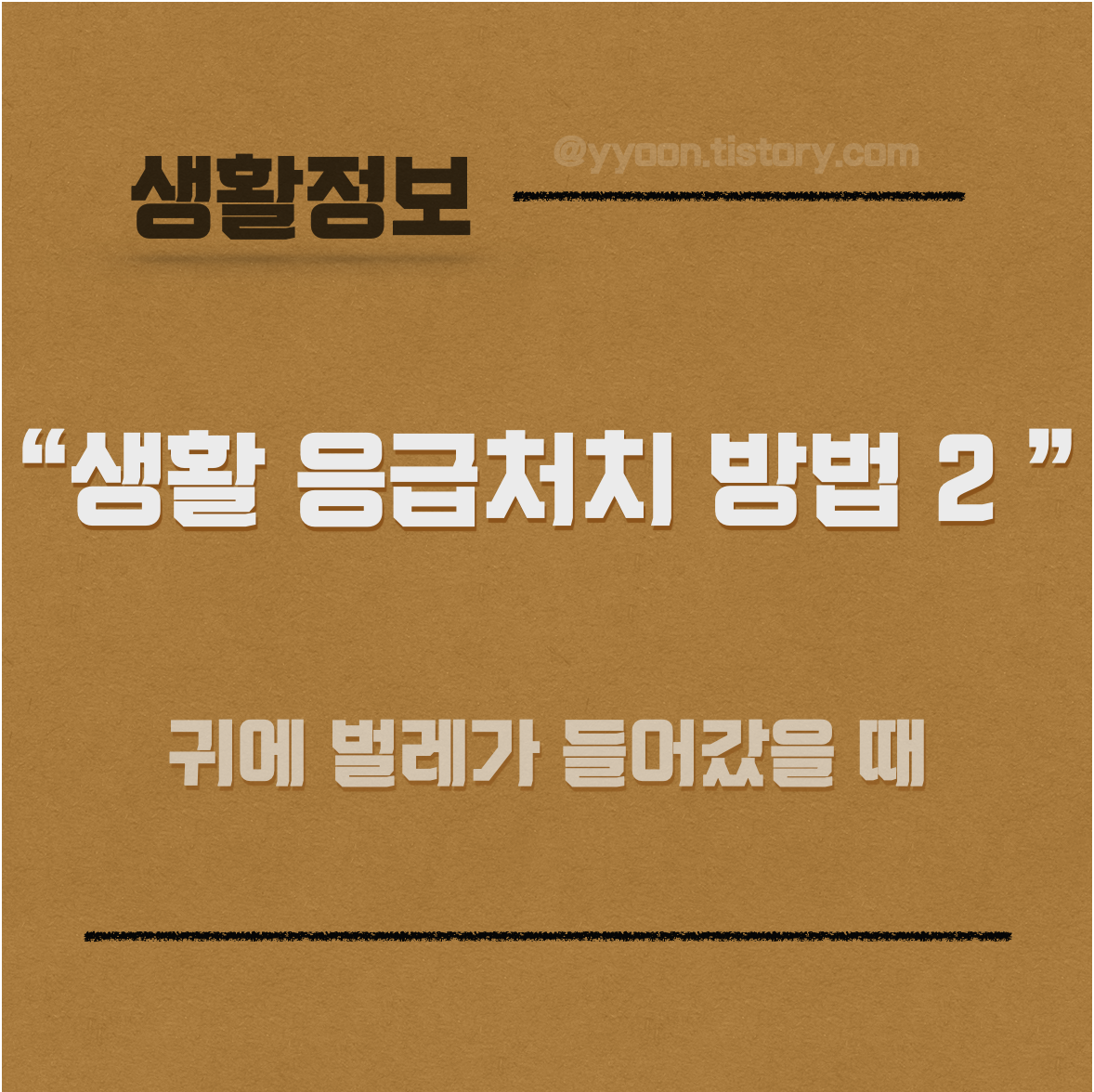  [생활정보] 귀에 벌레가 들어갔을 때 어떻게하나요 ?