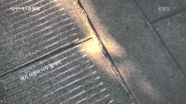 다큐 인사이트 - KBS다큐 인사이트_[이태원] 2022년 10월 29일 발생한 이태원 참사.ts_20231027_203714.564.jpg