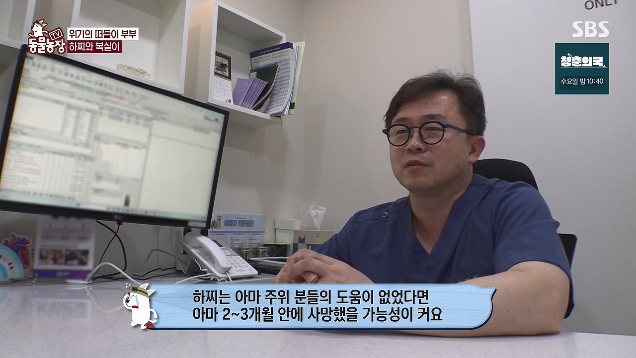 TV 동물농장.E1138.230918p-NEXT.mp4_20230917_172129.682.jpg