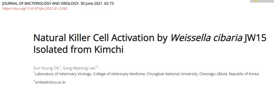 와이셀라유산균의 nk세포 활성